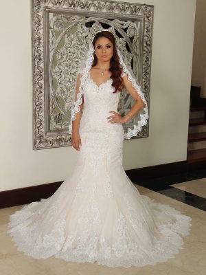 Vestido de novia estilo sirena ivory y champaña DQ0010.