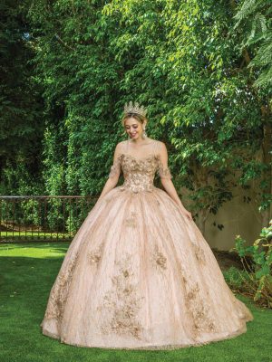 Vestido de quince princesa DQ1633.