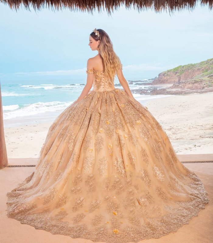 Vestido de Quinceañera Rafaella